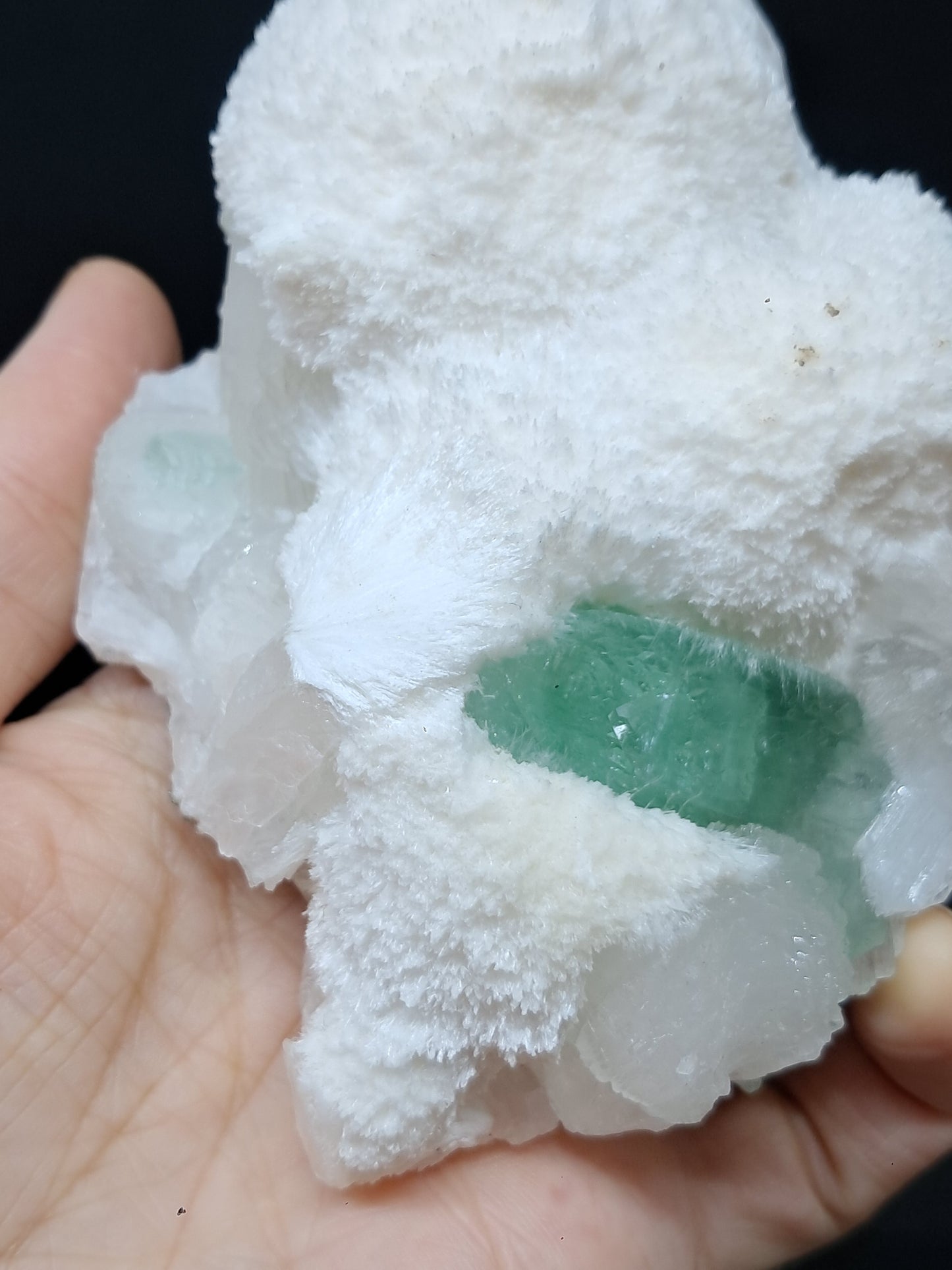Green Apophyllite (Fluorapophyllite) and Stilbite on Mordenite #GA4