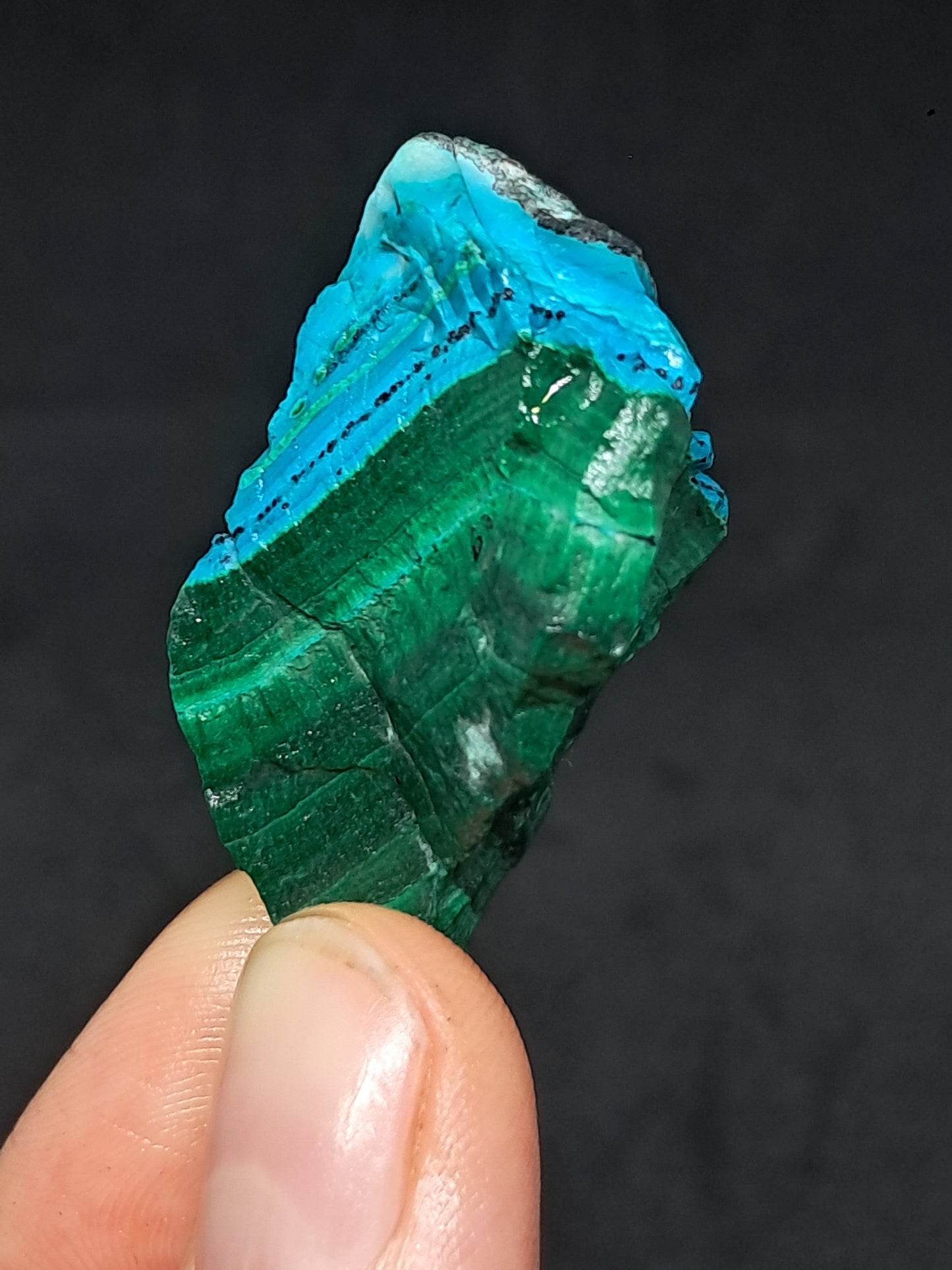 Chrysocolla Malachite (Democratic Republic of Congo) Raw Stone | Rough Crystal | Natural Mineral Specimen #CM8