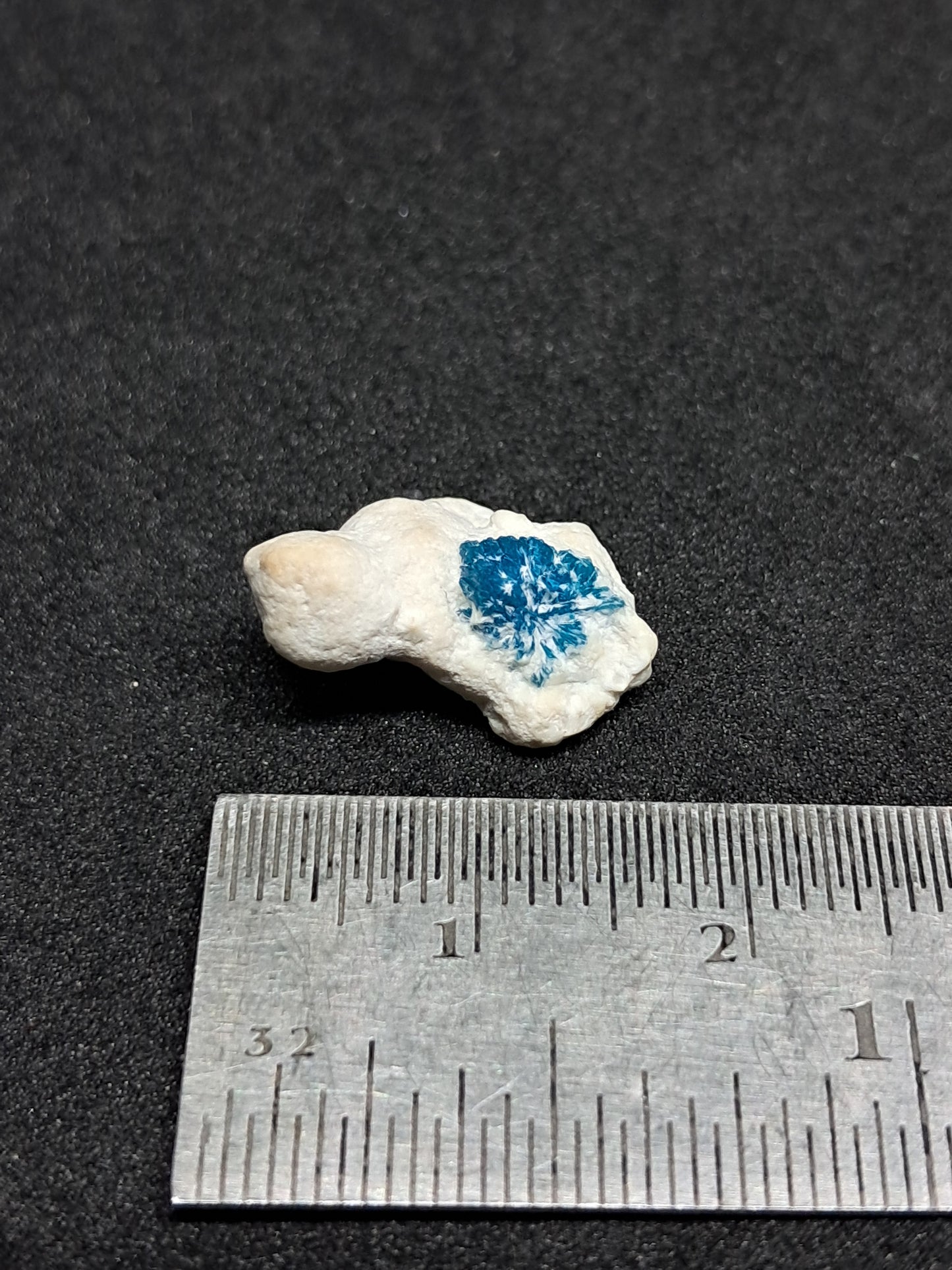 Floater Cavansite in Okenite Ball (Pune) Rough Stone | Natural Crystal | Rare Mineral Specimen #CV23