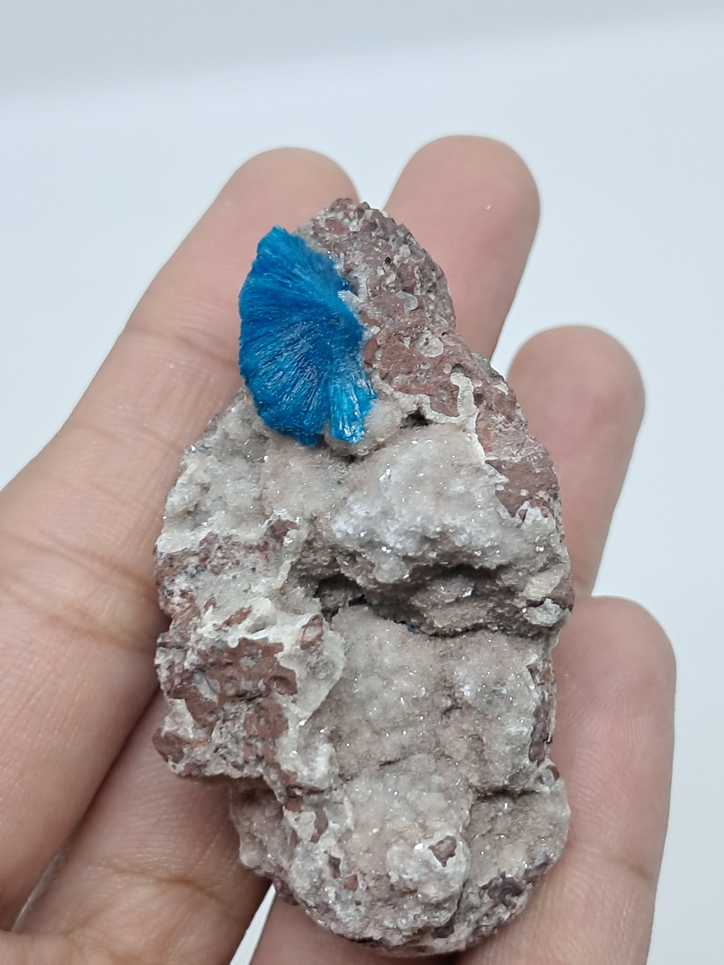 Cavansite and UV Reactive Calcite on Heulandite Matrix (Wagholi) Rough Stone | Natural Crystal | Rare Mineral Specimen #CV30