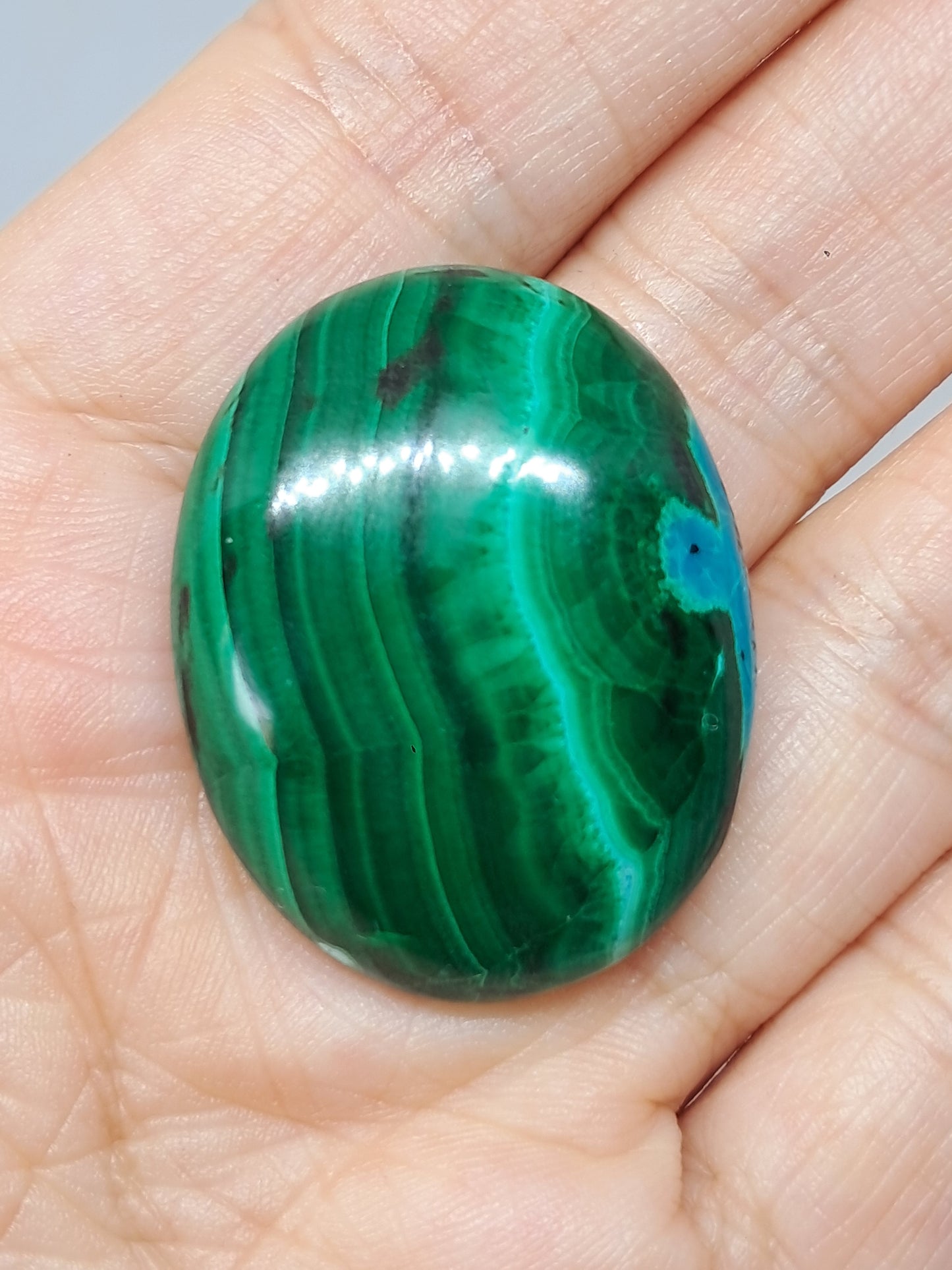 Chrysocolla Malachite Palmstone (Democratic Republic of Congo) Polished Natural Stone