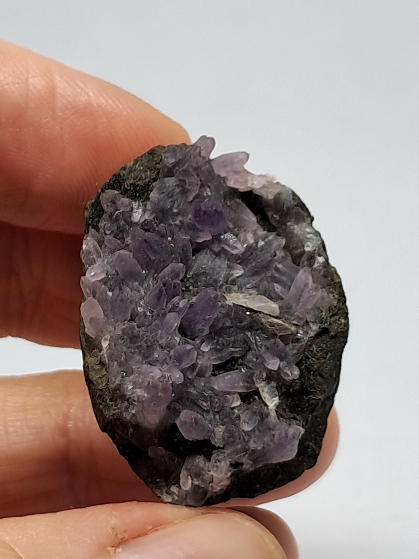 "Dog tooth" Amethyst on Basalt (Non-precious mineral) #DTA5