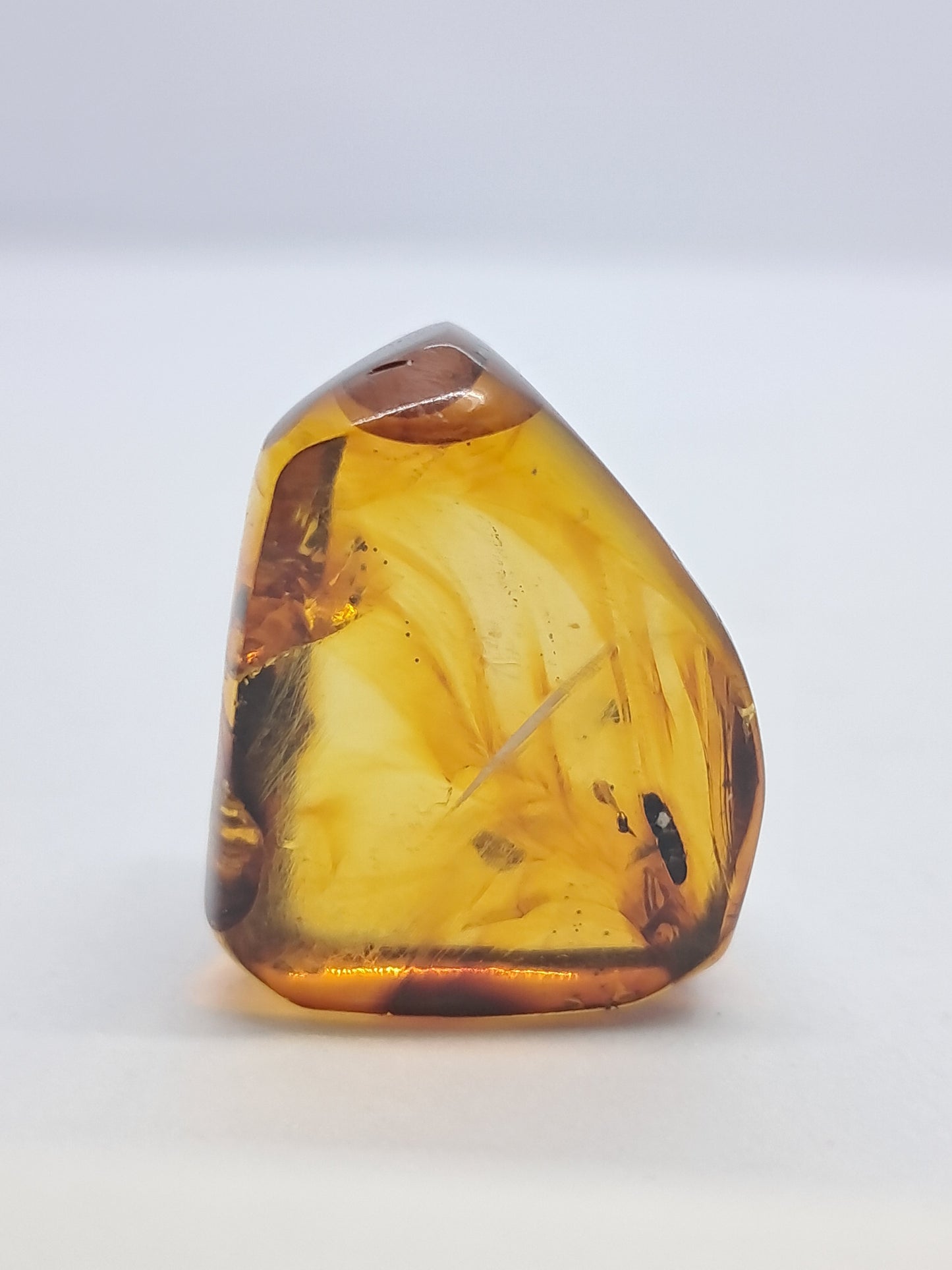 Polished Amber (Mexico) Natural Fossilized Resin | Mineral Specimen #AB3