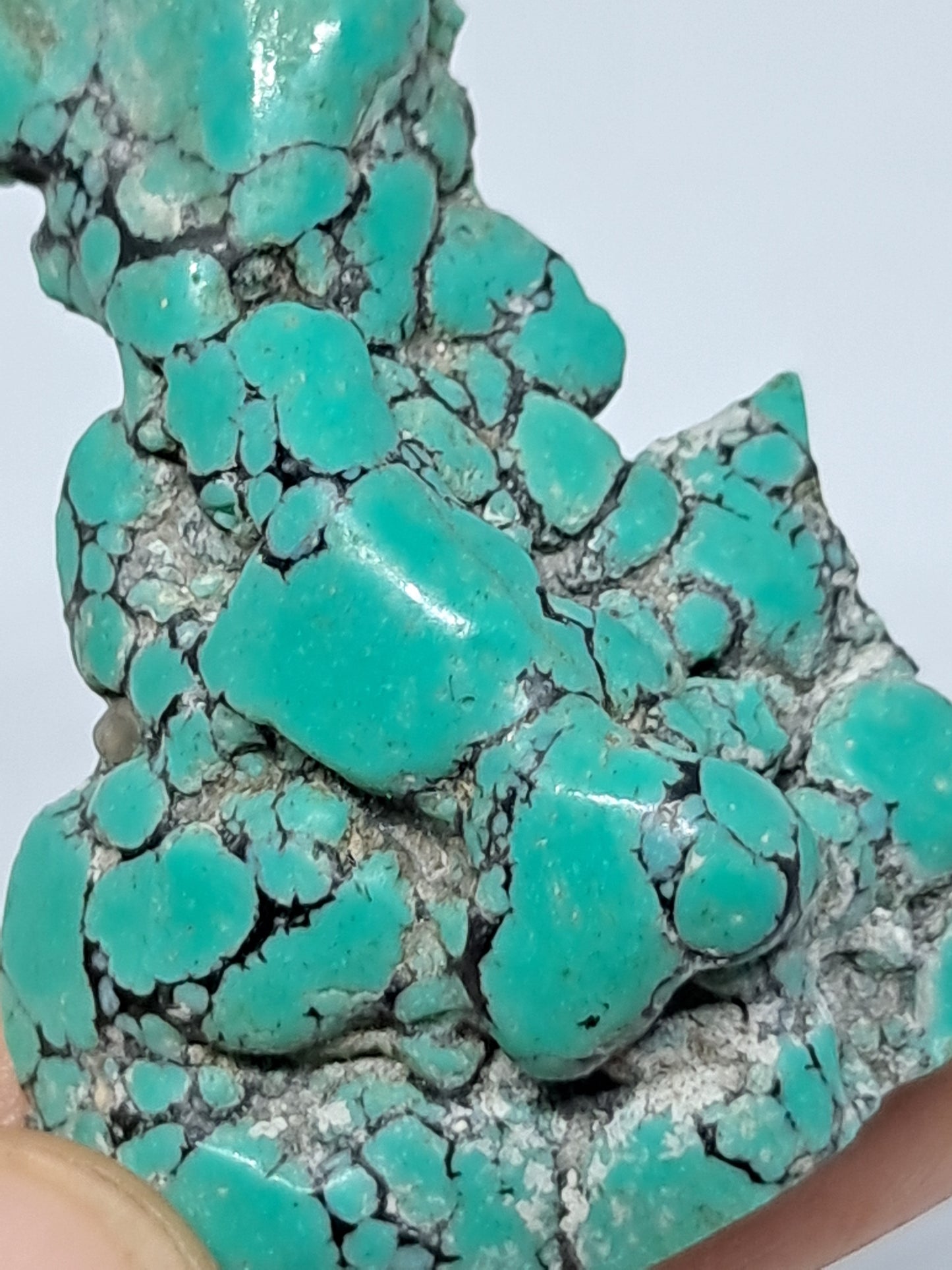 Natural Tibetan Turquoise (Non-precious stone) #TT2
