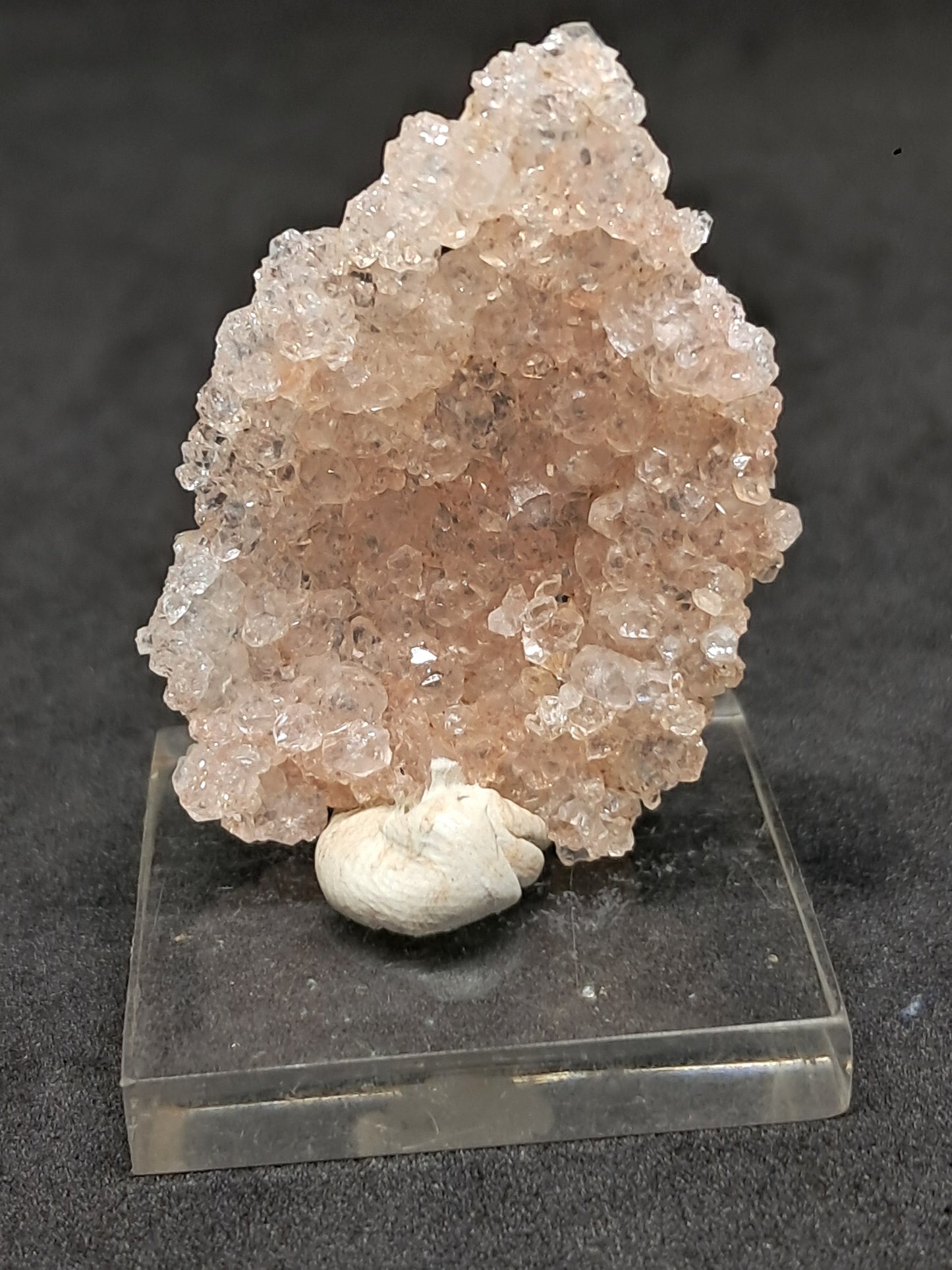 Pink Apophyllite On Quartz Floater Cluster (Ajanta) Natural Crystal | Mineral Specimen #APP1