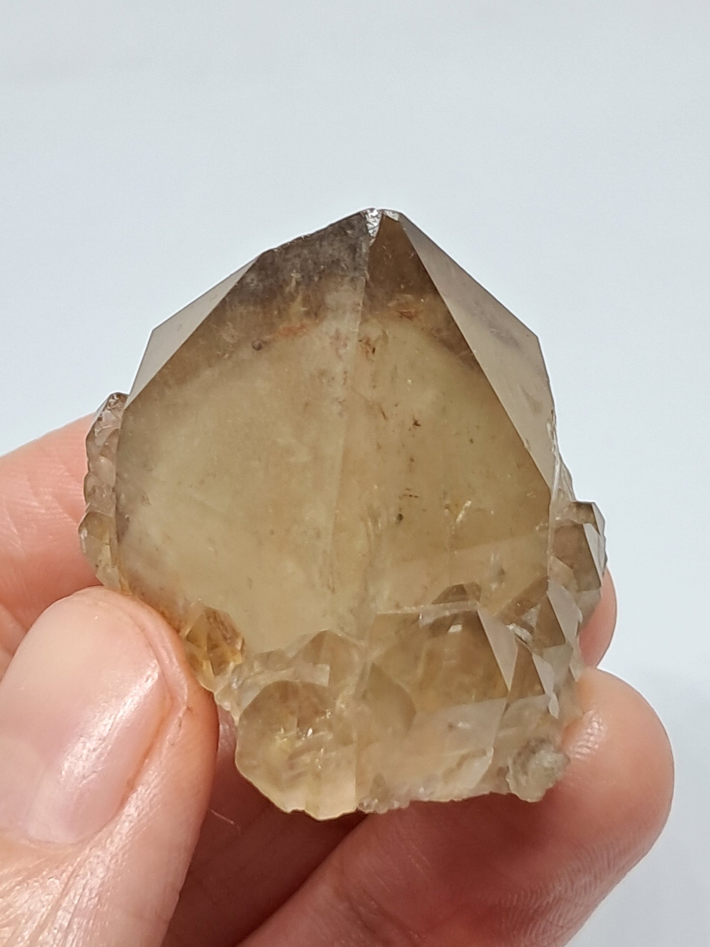Natural Citrine "Kundalini" with Phantom (Democratic Republic of Congo) Crystal Point | Mineral Specimen #CTN10