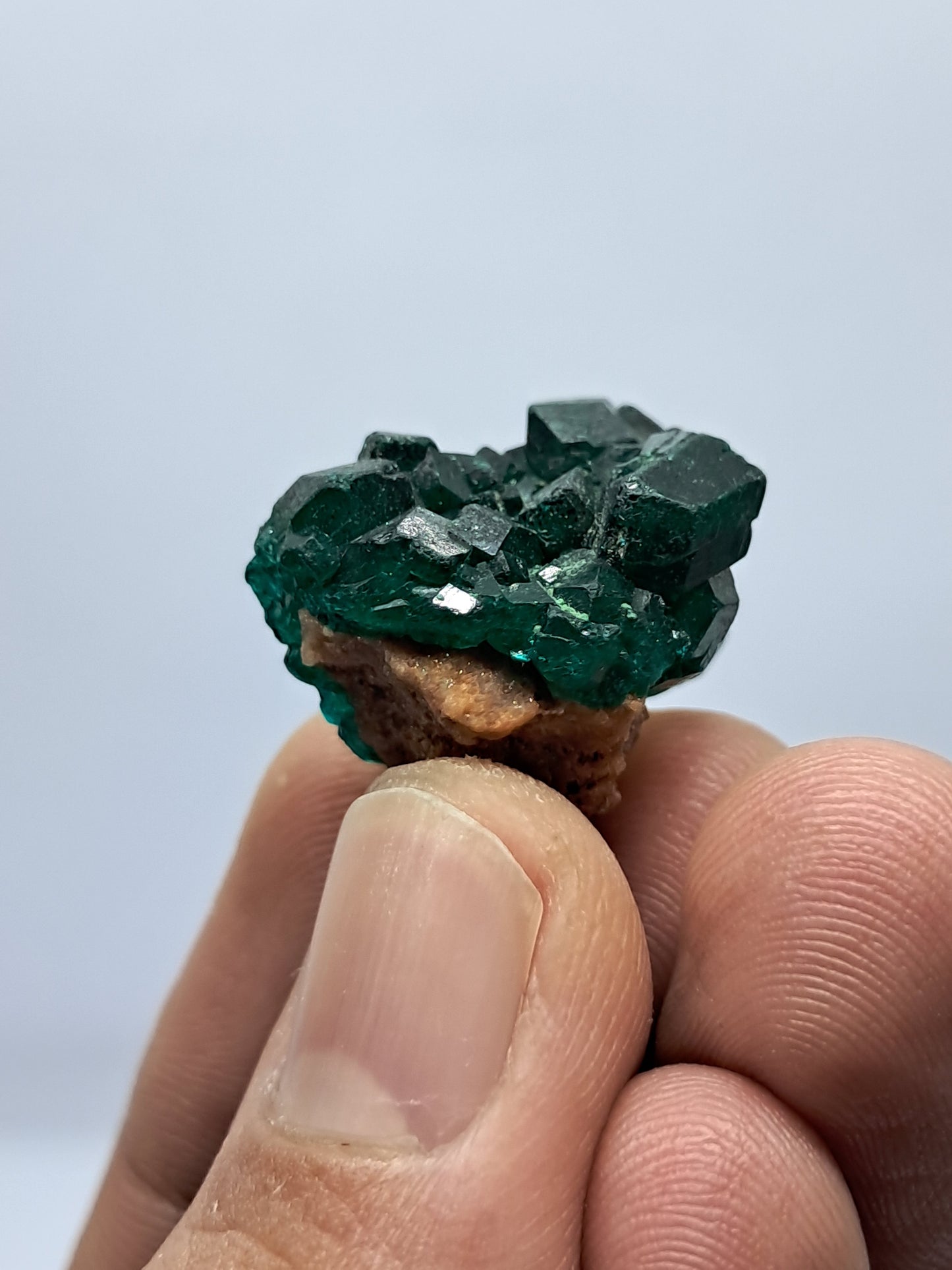 Dioptase (Non-precious Natural Stone) #DPT4