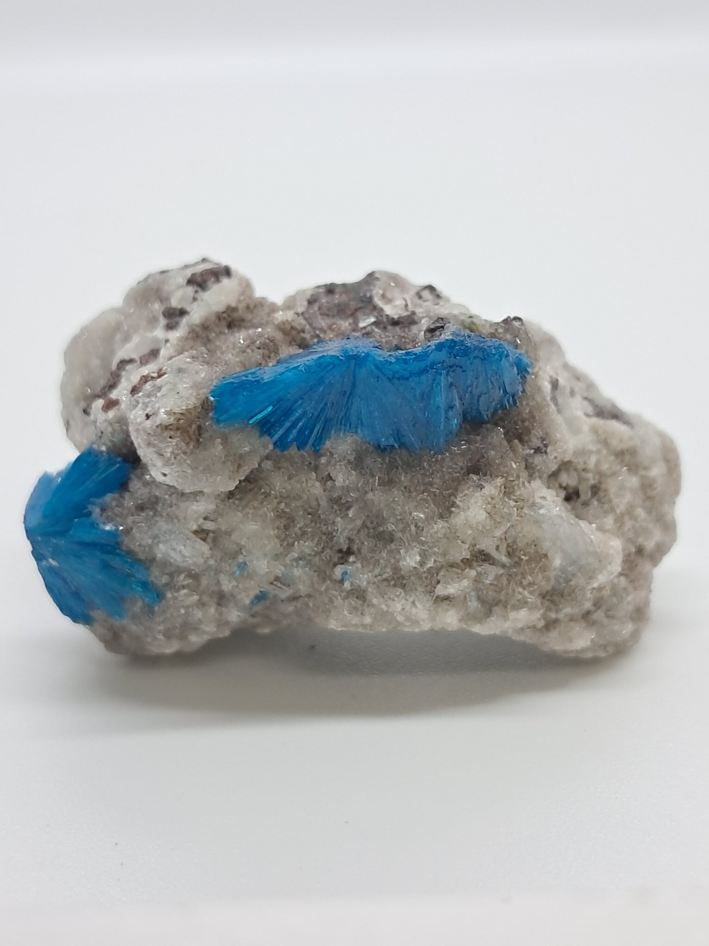 Cavansite on Heulandite Matrix (Wagholi) Rough Stone | Natural Crystal | Rare Mineral Specimen #CV35
