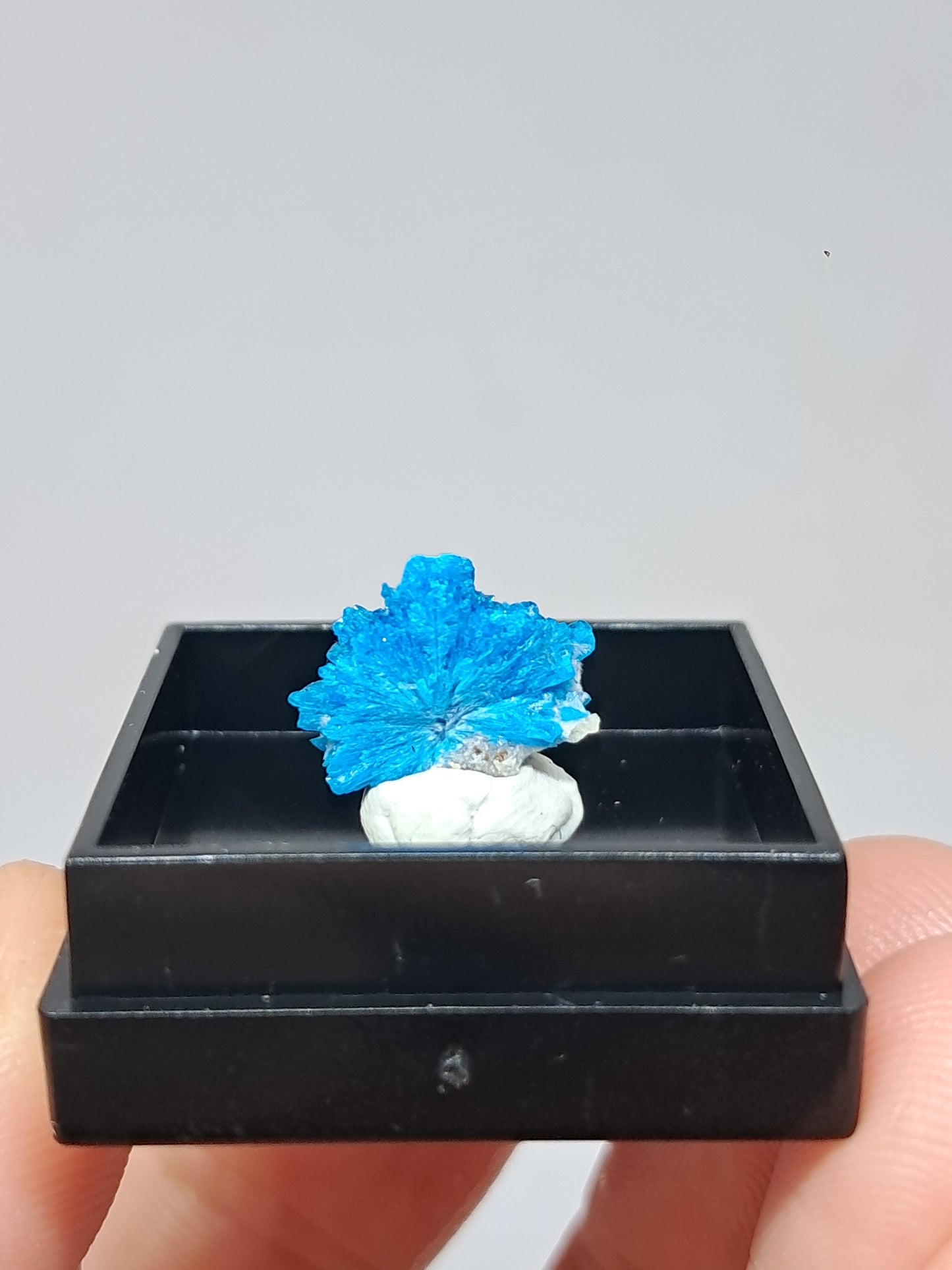 Pentagonite (Pune) Rough Stone | Natural Crystal | Rare Mineral Specimen #CV56