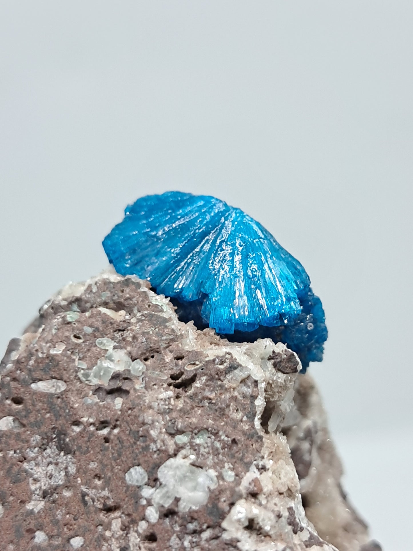 Cavansite on Heulandite Matrix (Wagholi) Rough Stone | Natural Crystal | Rare Mineral Specimen #CV32