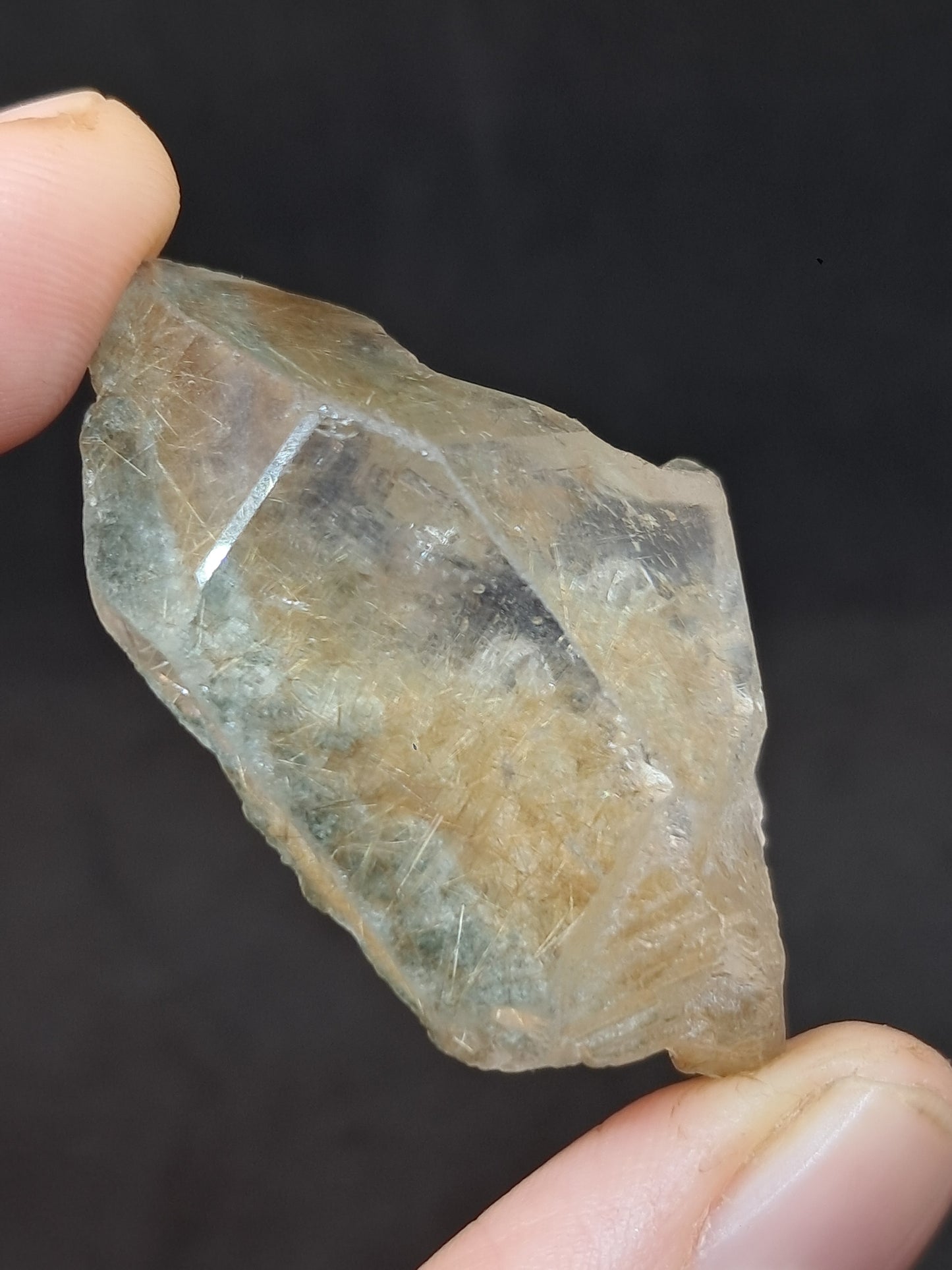 Quartz w/ Chlorite and Golden Rutile Inclusions (Himachal Pradesh) Rough Stone | Natural Crystal | Mineral Specimen #CH40