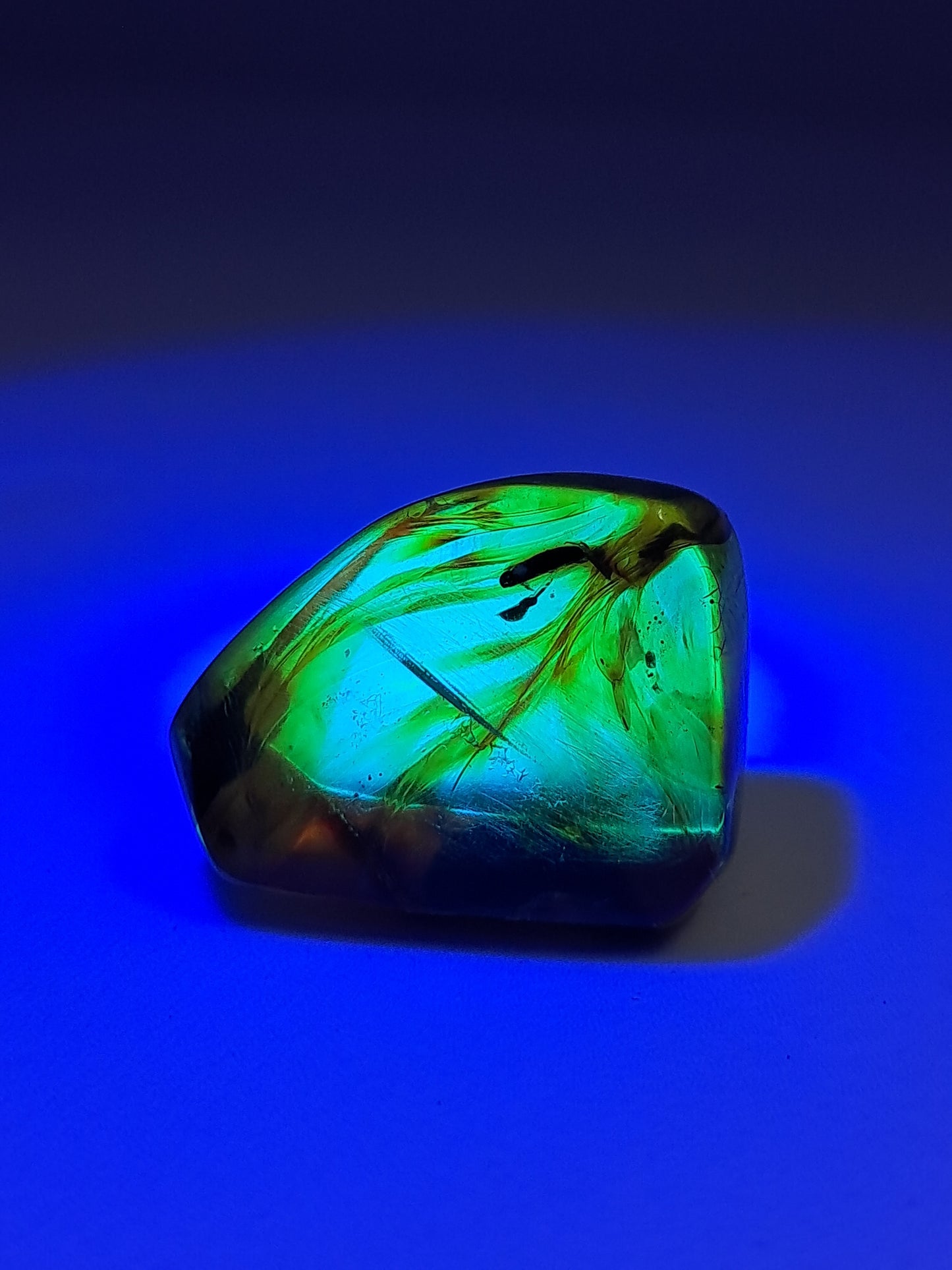 Polished Amber (Mexico) Natural Fossilized Resin | Mineral Specimen #AB3