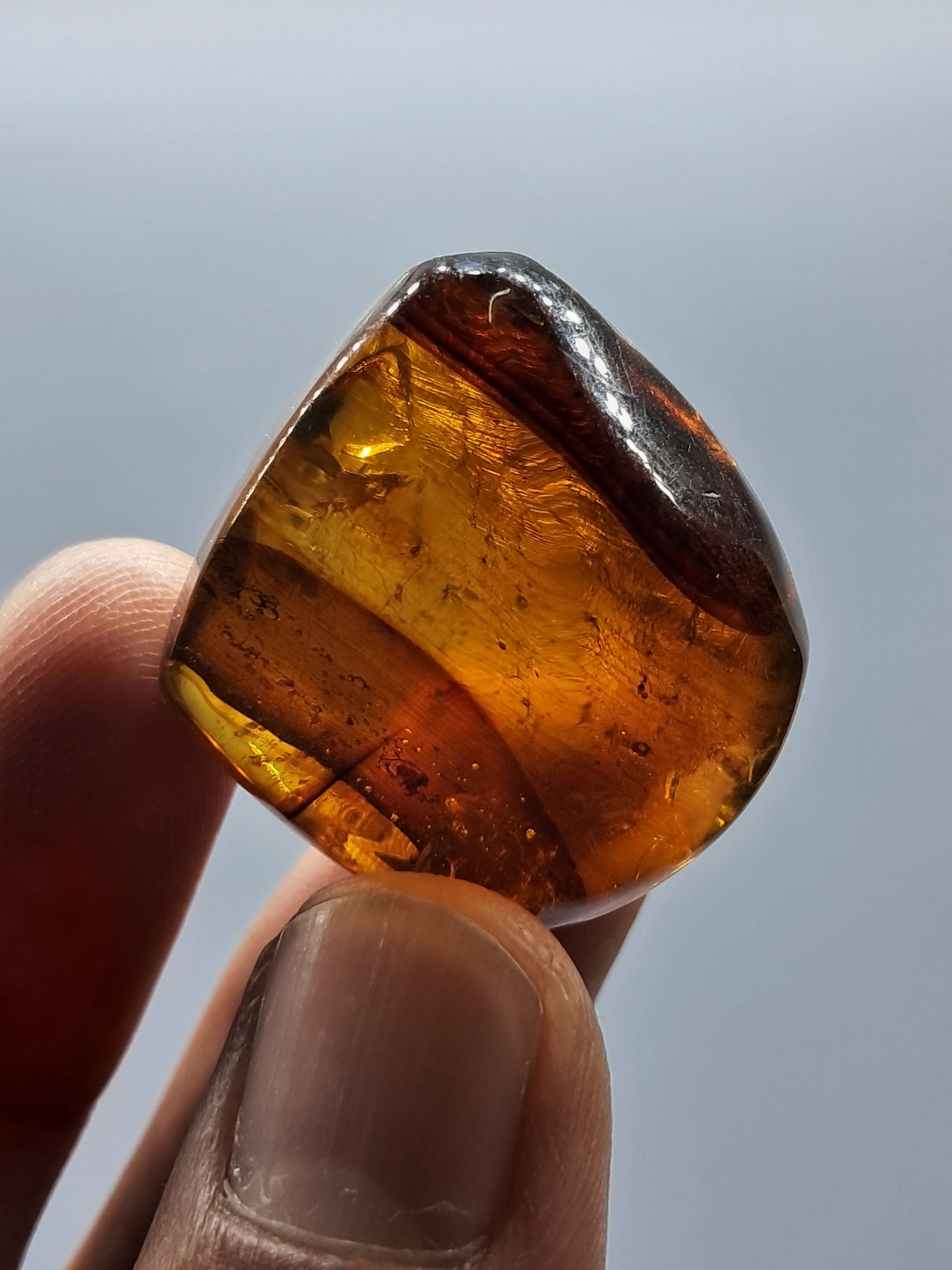 Polished Amber (Mexico) Natural Fossilized Resin | Mineral Specimen #AB2