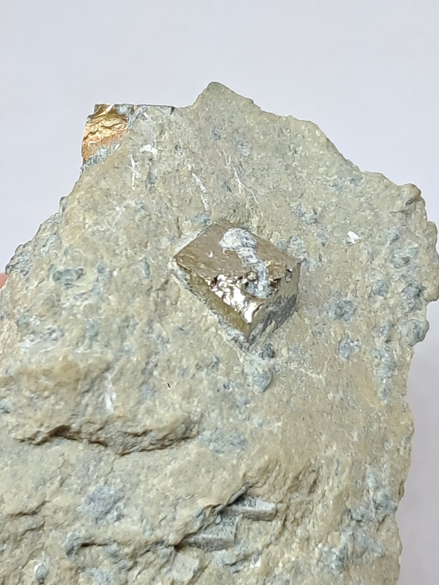 Cubos de pirita en matriz (España) Cristal natural | Ejemplar mineral n.° PR15