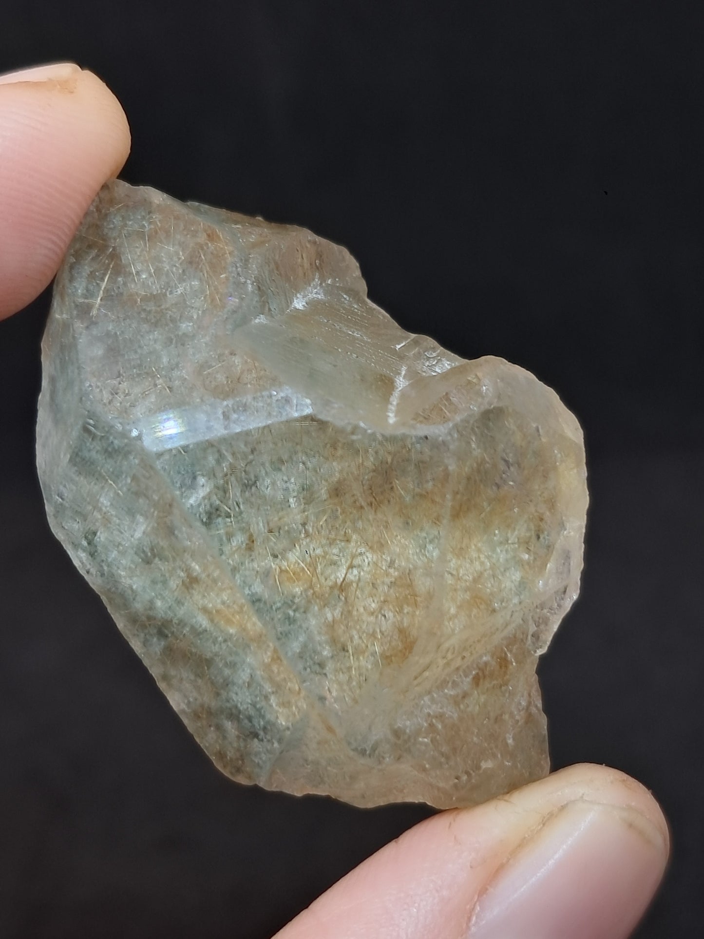 Quartz w/ Chlorite and Golden Rutile Inclusions (Himachal Pradesh) Rough Stone | Natural Crystal | Mineral Specimen #CH40