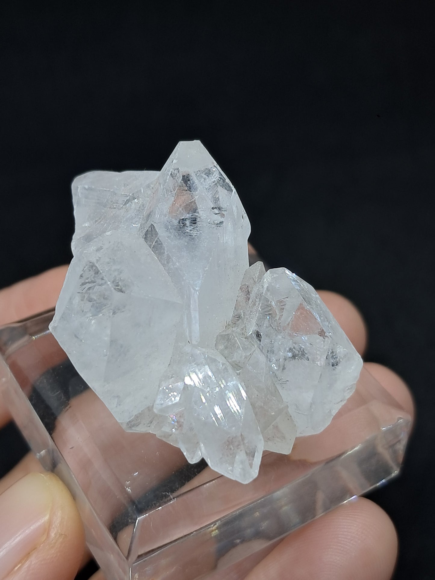 Clear Apophyllite Cluster (Ajanta) Natural Crystal | Mineral Specimen #AP49
