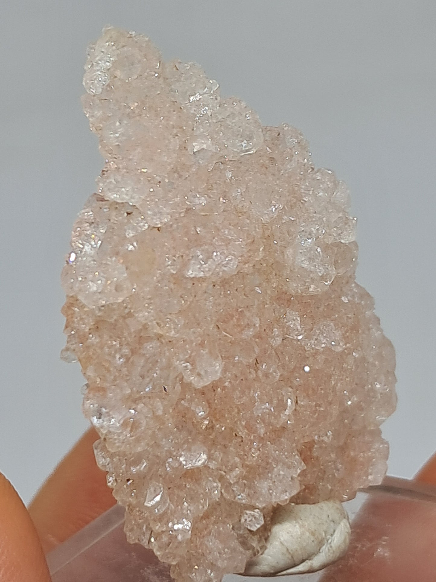 Pink Apophyllite On Quartz Floater Cluster (Ajanta) Natural Crystal | Mineral Specimen #APP1