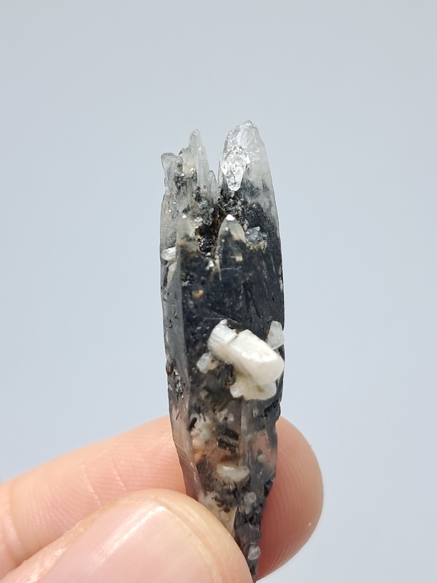 Tourmalinated Quartz Biterminated Crystal (Non-precious stone) #TQ24