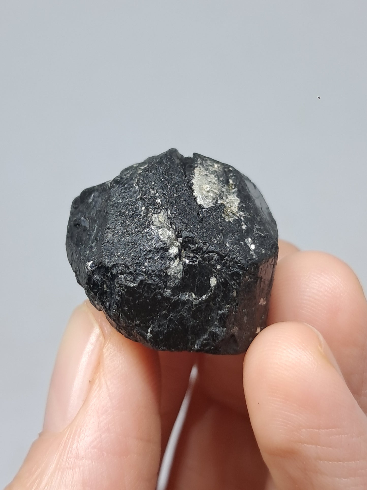 Black Tourmaline Crystal (Karnataka) Naturally Terminated | Natural Stone | Mineral Specimen #BT8