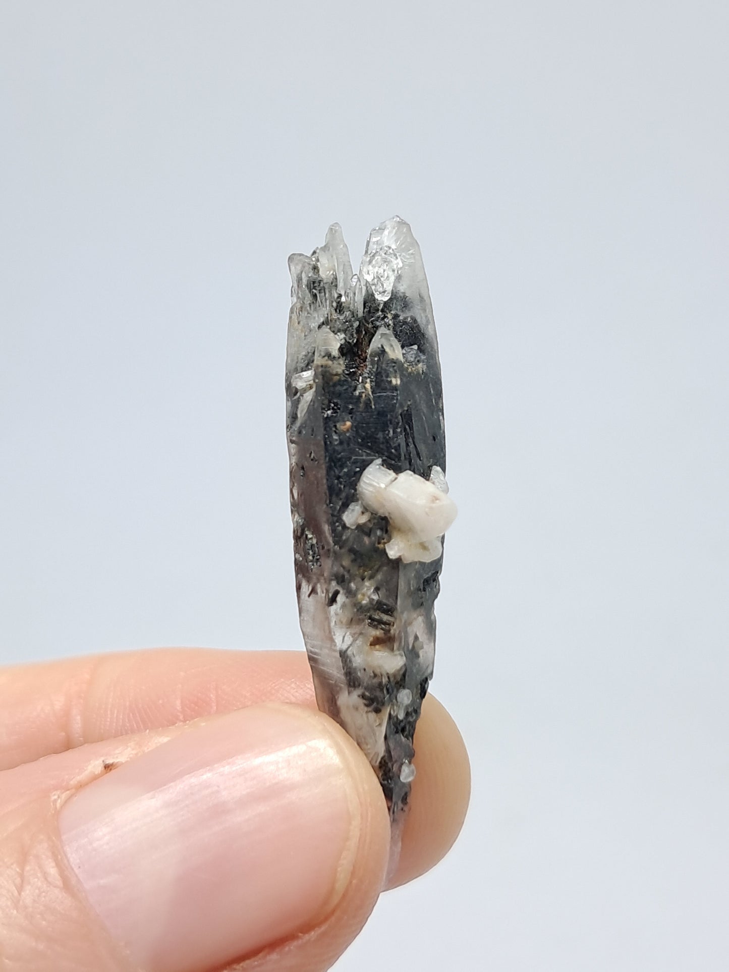 Tourmalinated Quartz Biterminated Crystal (Non-precious stone) #TQ24