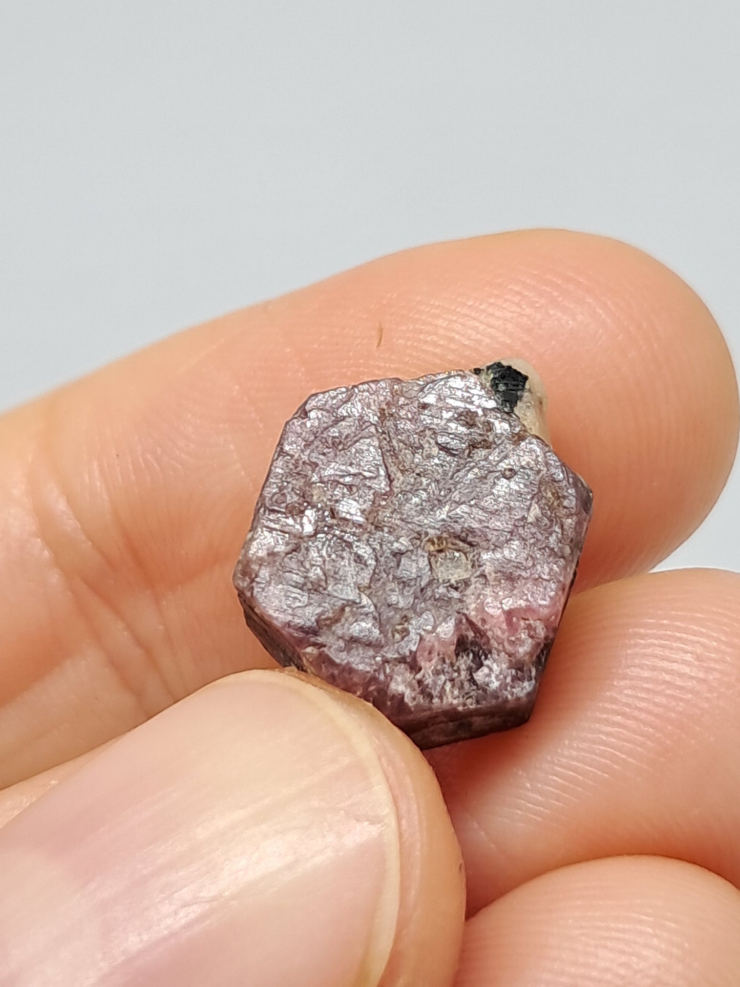 Ruby with record keeper (Non-precious stone) #RB12