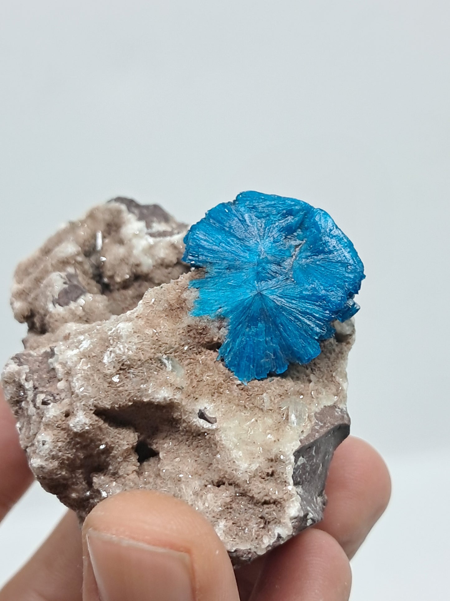 Cavansite on Heulandite Matrix (Wagholi) Rough Stone | Natural Crystal | Rare Mineral Specimen #CV32