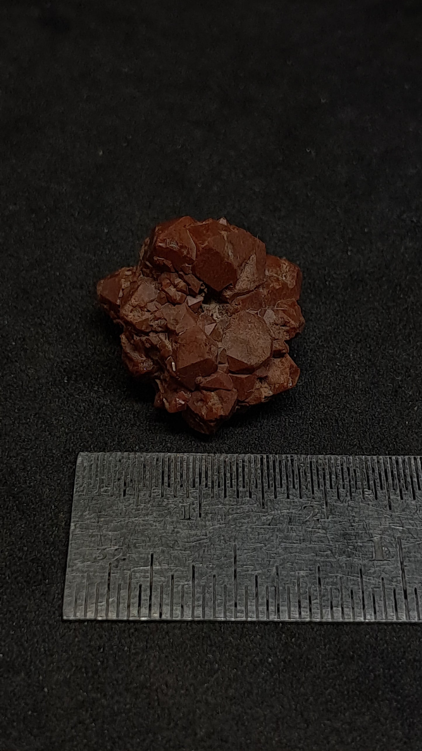 Jacinto de Compostela Quartz On Matrix | Natural Crystal | Mineral Specimen #JCQ4
