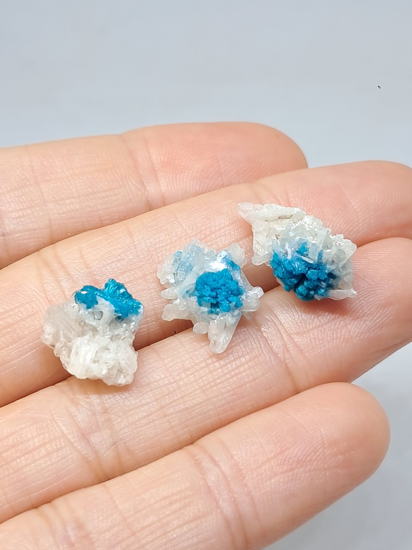 Set of 3 Small Cavansites on Stilbite Matrix (Wagholi) Rough Stone | Natural Crystal | Rare Mineral Specimen #CV39