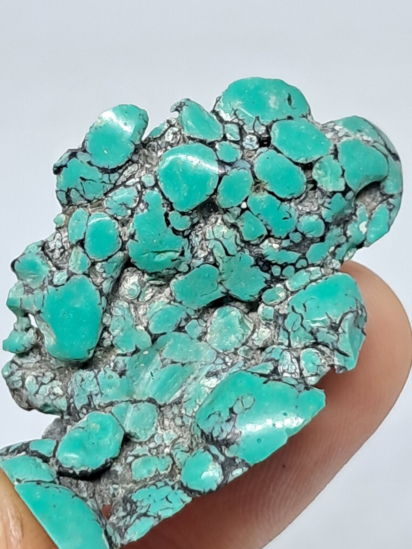 Tibetan Turquoise Stabilized Natural Stone | Mineral Specimen #TT4