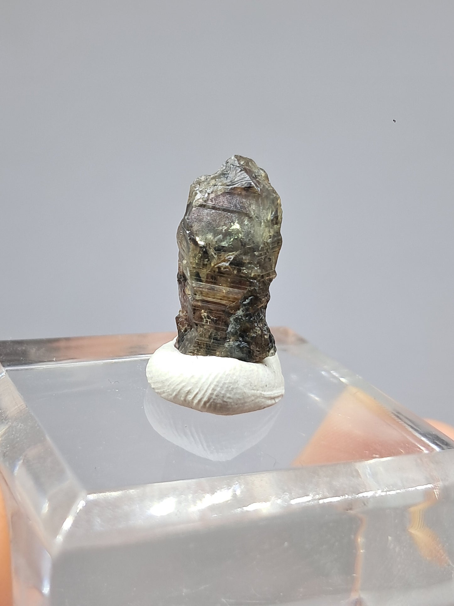 Natural Green Sapphire Crystal (Karur) Rough Stone | Mineral Specimen #SP32