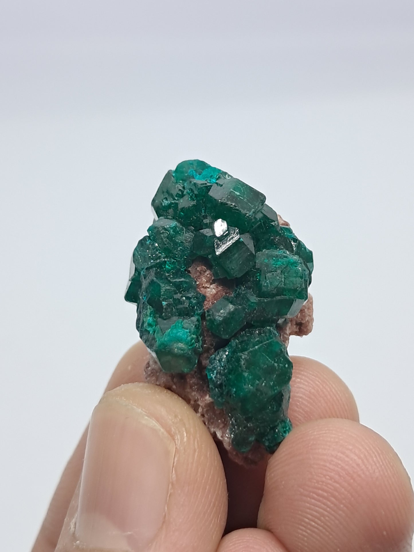 Dioptase (Democratic Republic of Congo) Natural Cluster | Rough Crystal | Mineral Specimen #DPT9