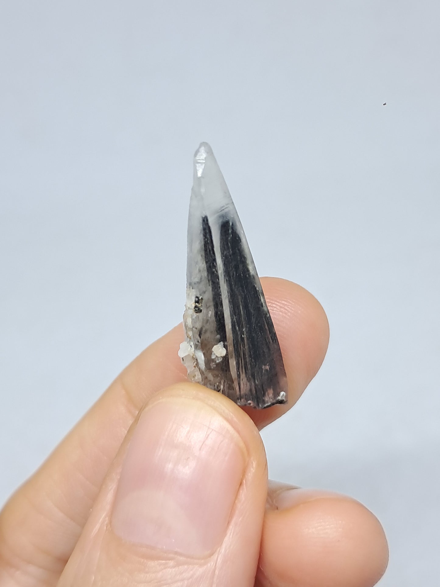 Tourmalinated Quartz Crystal Point (Karur) Natural Stone | Mineral Specimen #TQ26