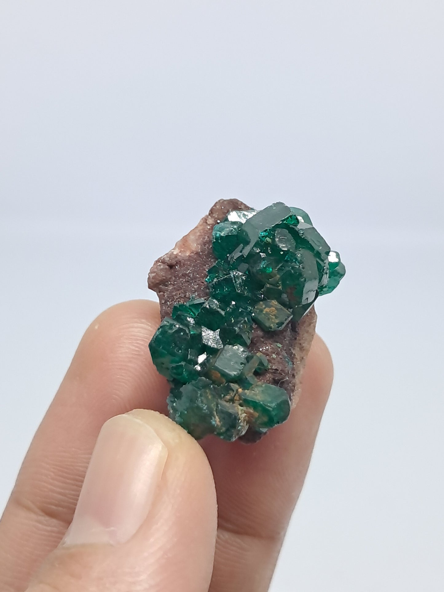 Dioptase on Matrix (Democratic Republic of Congo) Natural Cluster | Rough Crystal | Mineral Specimen #DPT10