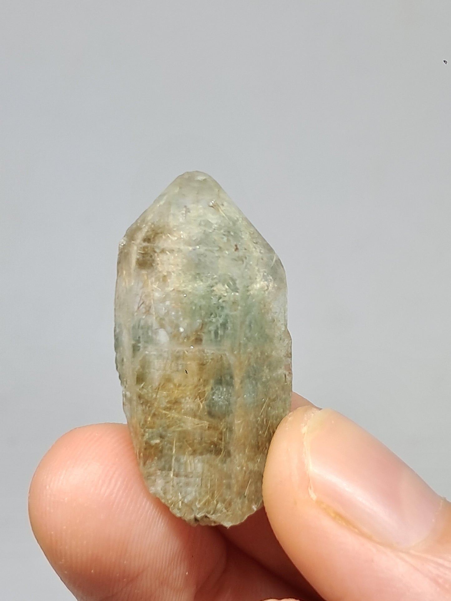 Quartz w/ Chlorite and Golden Rutile Inclusions (Kullu) Rough Stone | Natural Crystal Point | Mineral Specimen #CH47