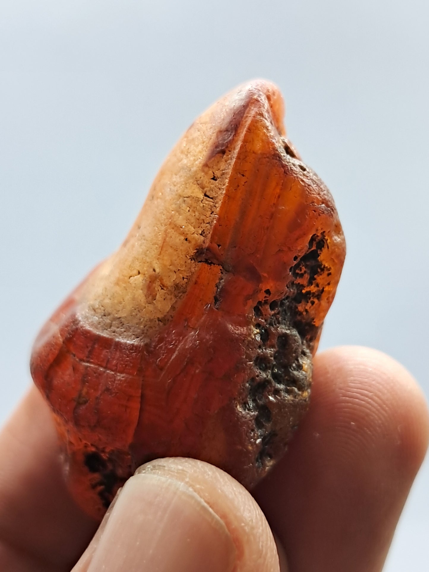 Rough Carnelian (India) Raw Stone | Natural Crystal | Mineral Specimen #CRN7