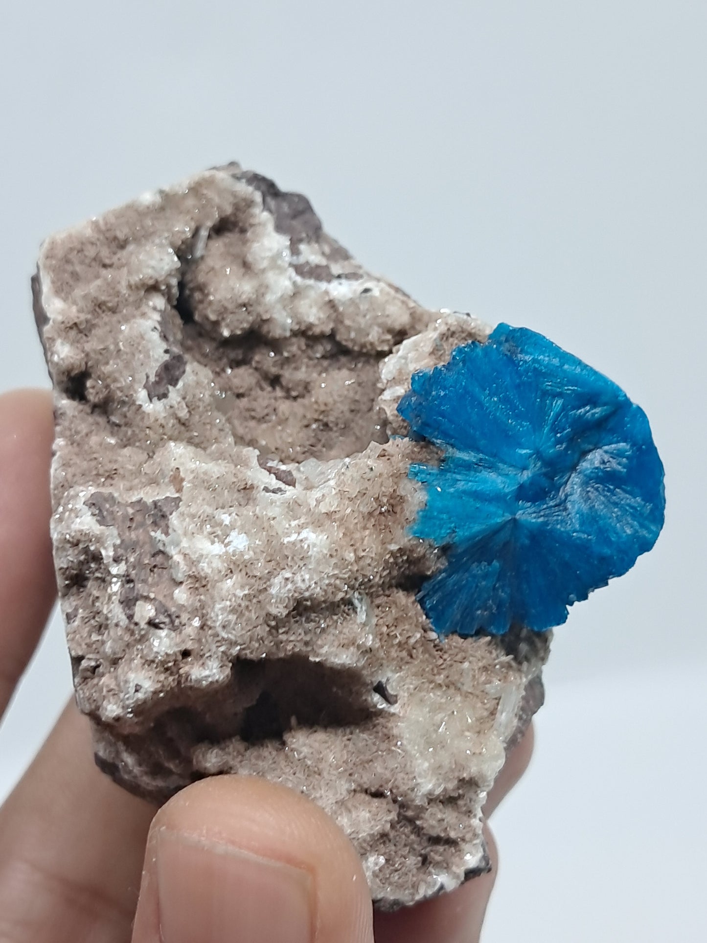 Cavansite on Heulandite Matrix (Wagholi) Rough Stone | Natural Crystal | Rare Mineral Specimen #CV32