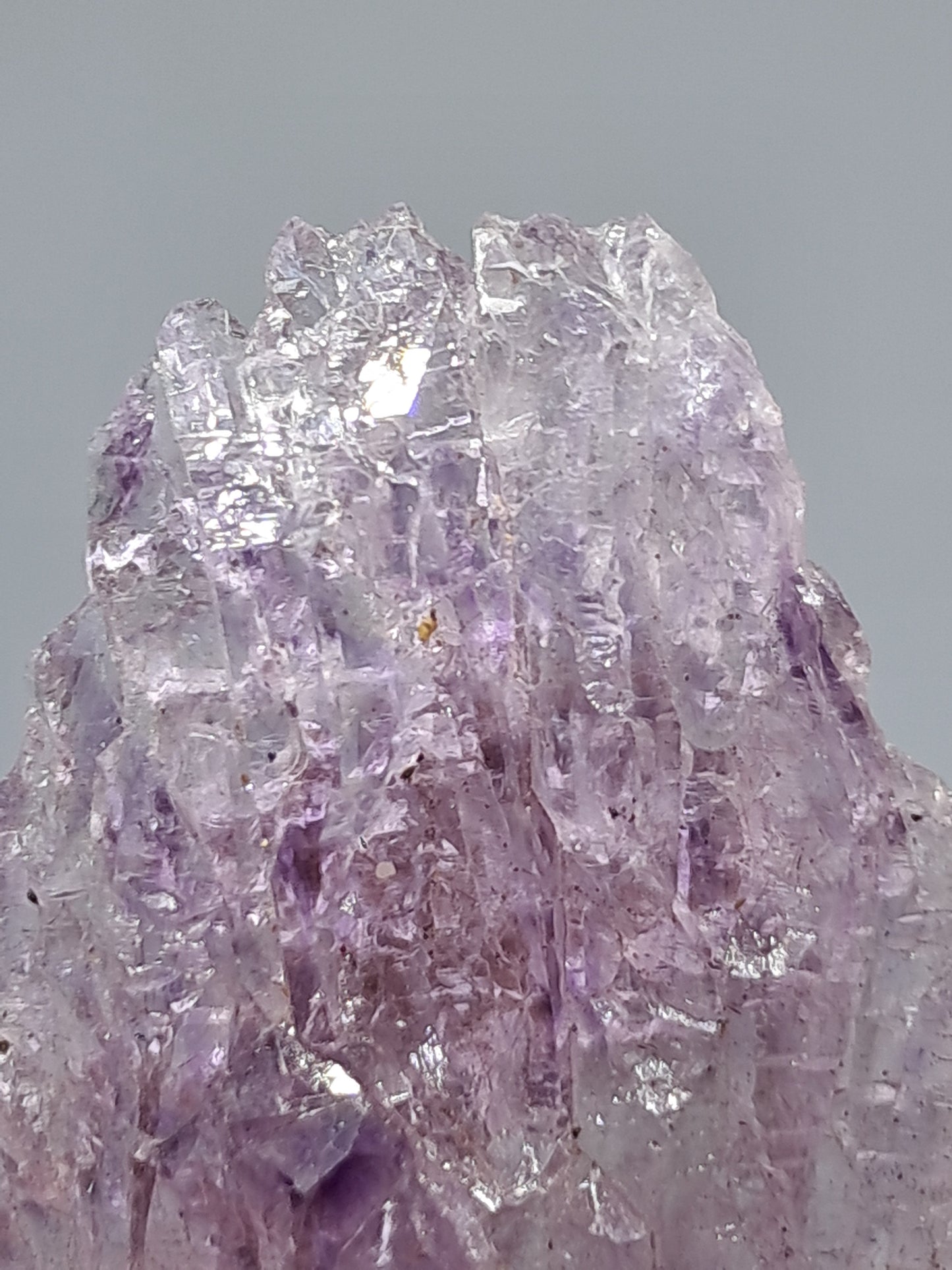 Amethyst Scepter Cluster w/ Goethite (Karur) Crystal Quartz Point | Natural Stone | Mineral Specimen #KA68