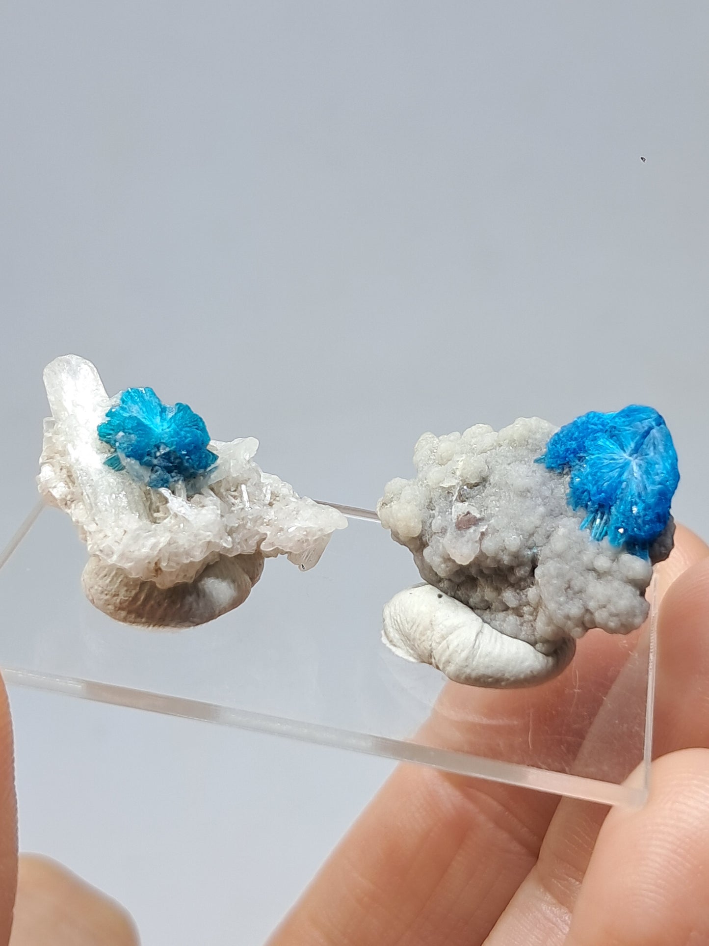 Set of Cavansite & Pentagonite on Matrix (Wagholi) Rough Stone | Natural Crystal | Rare Mineral Specimen #CV41