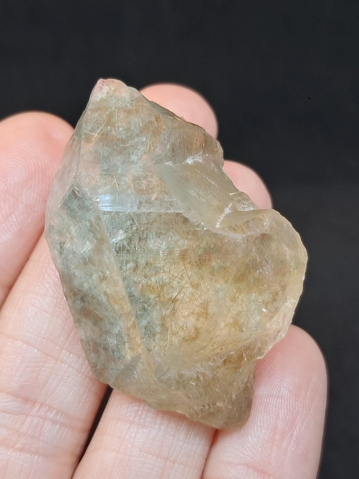 Quartz w/ Chlorite and Golden Rutile Inclusions (Himachal Pradesh) Rough Stone | Natural Crystal | Mineral Specimen #CH40