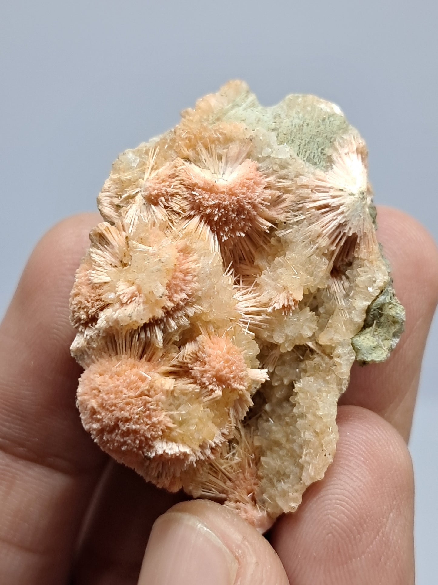 Mesolite w/ Hematite Inclusion (Madhya Pradesh) Natural Crystal| Mineral Specimen #MS21
