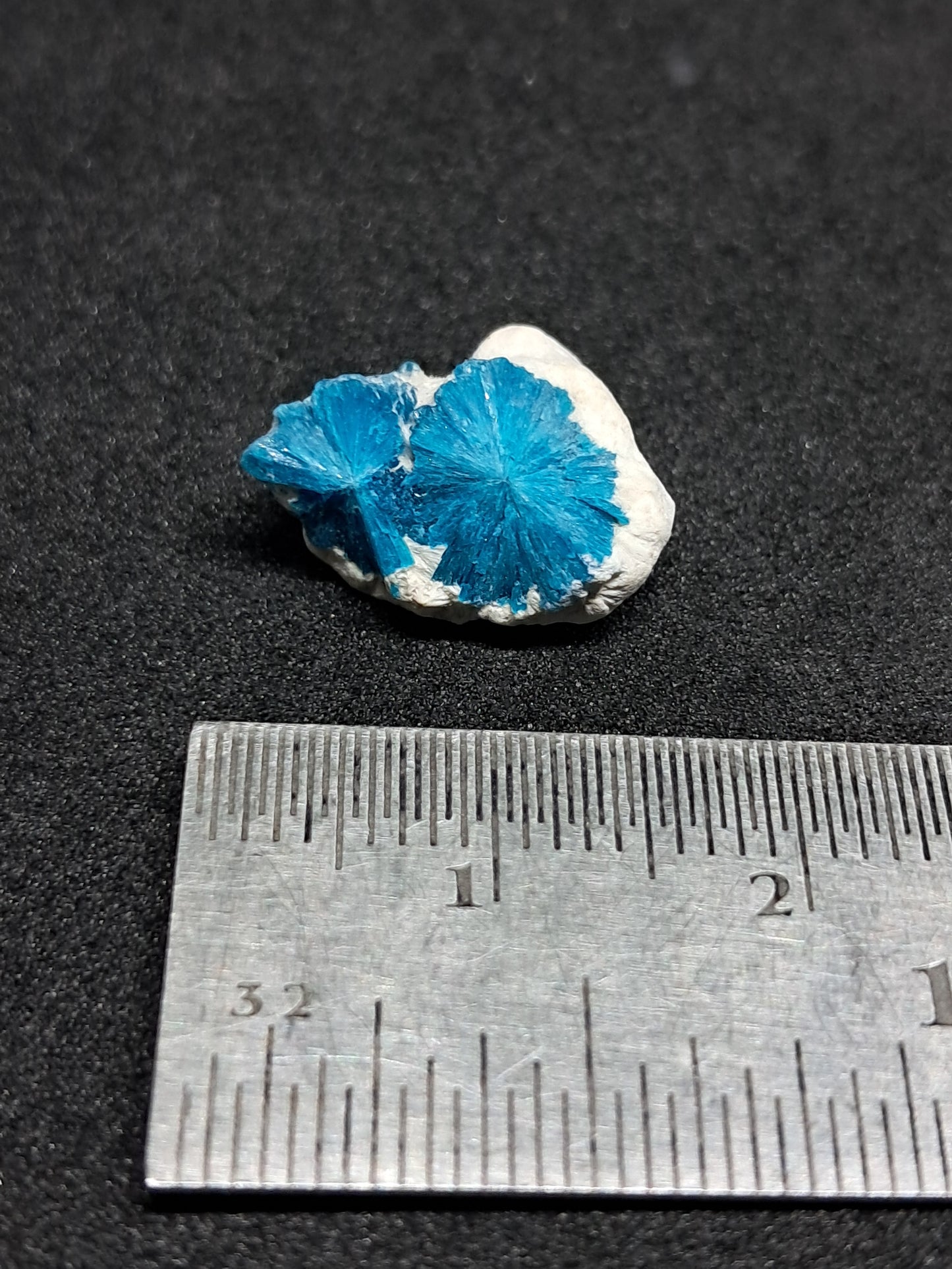 Floater Cavansites in Okenite Matrix (Pune) Rough Stone | Natural Crystal | Rare Mineral Specimen #CV25