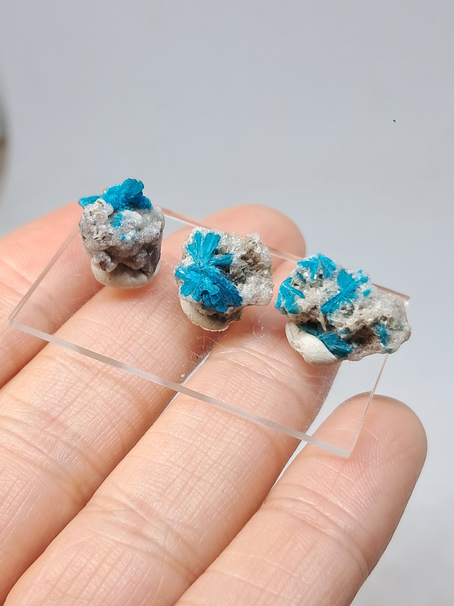 Set of 3 Small Cavansites on Heulandite Matrix (Wagholi) Rough Stone | Natural Crystal | Rare Mineral Specimen #CV44
