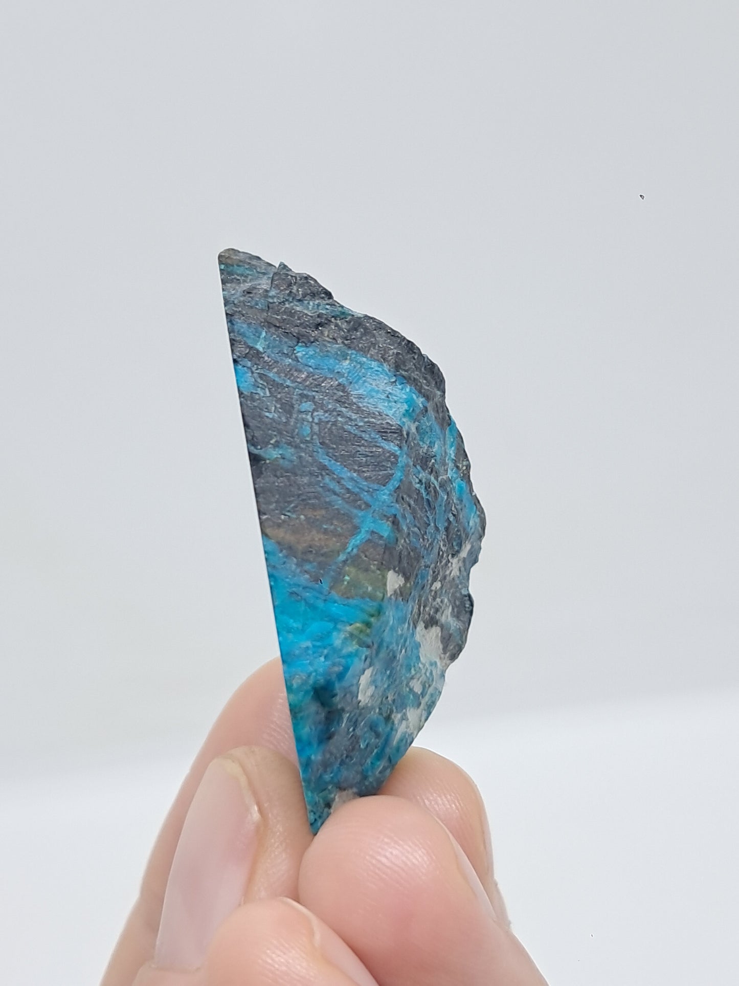 Blue Opal from Chile (Atacama) *New Find*| Rough Natural Stone | Rare Mineral Specimen #CBO3
