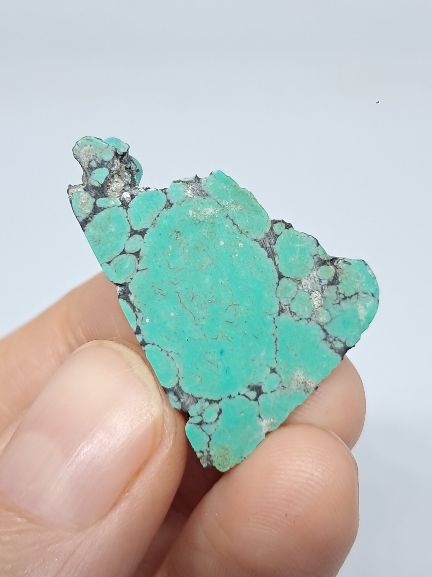 Natural Tibetan Turquoise (Non-precious stone) #TT7