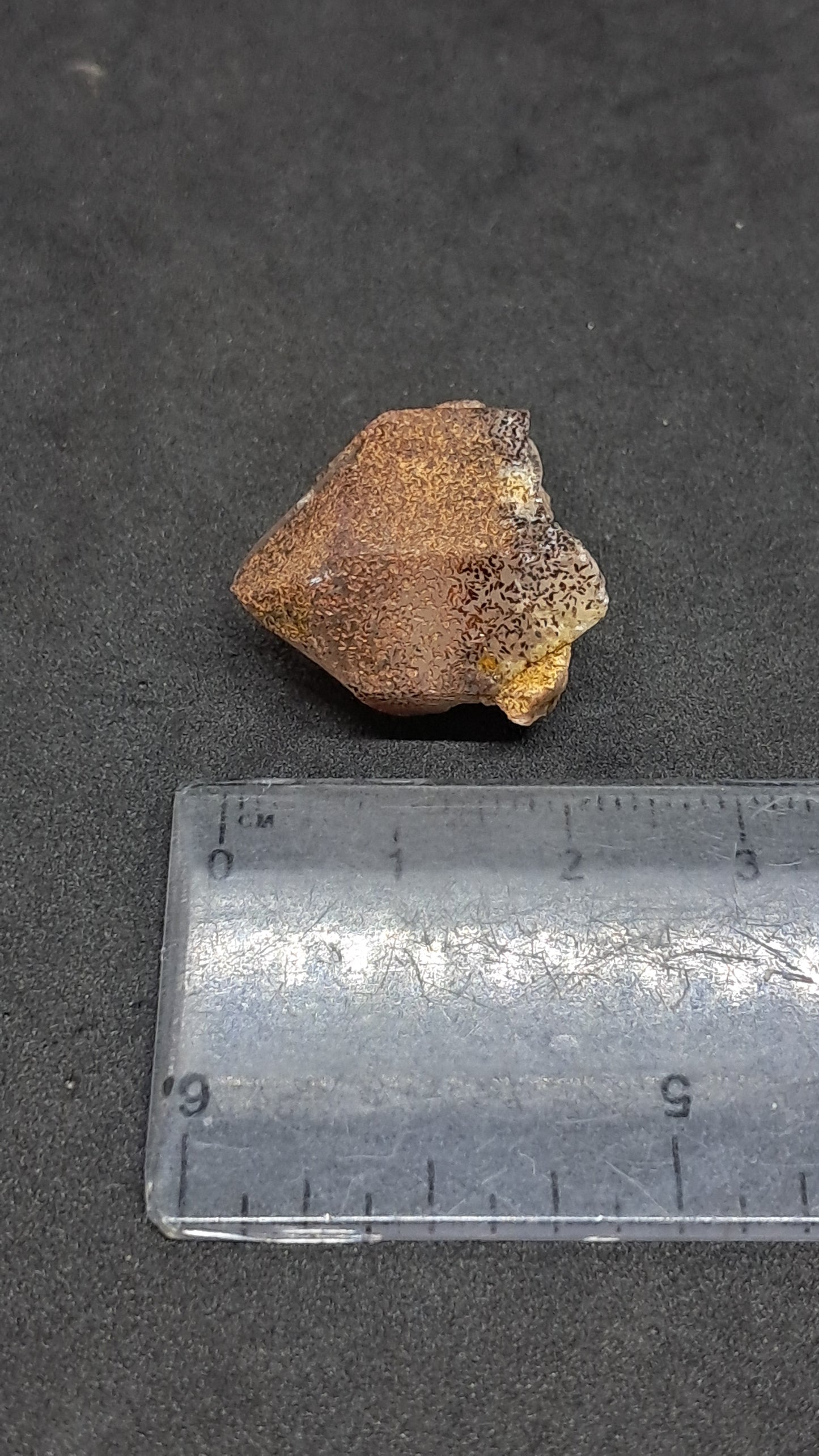 Smokey Elestial Quartz (Karur) Interesting Inclusions | Mineral Specimen #EQ31