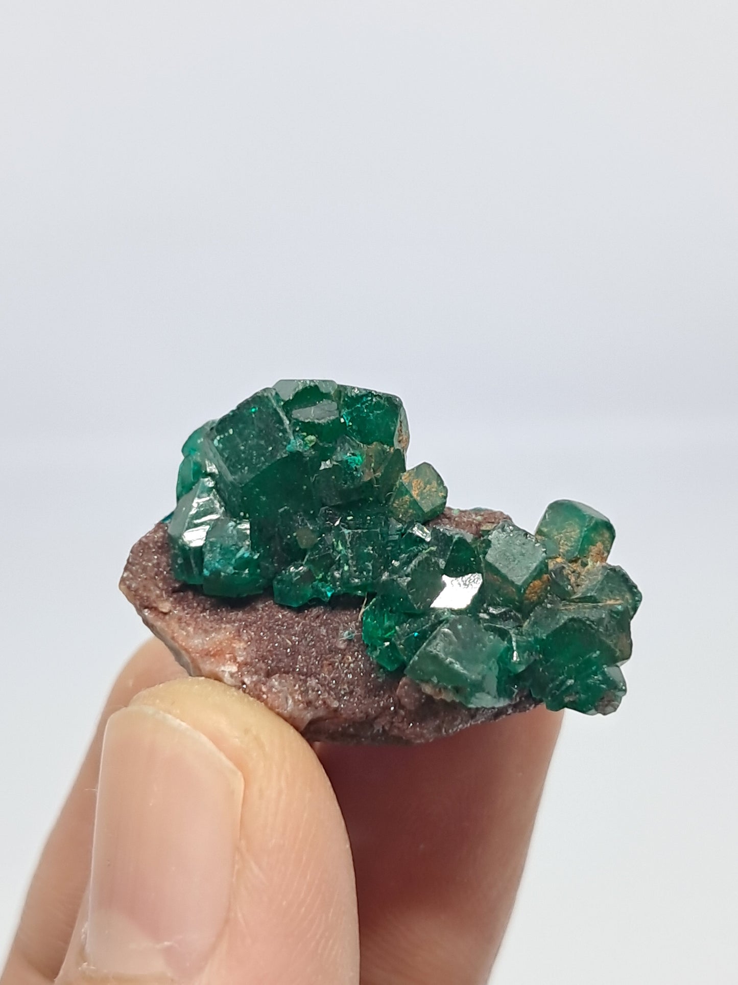 Dioptase on Matrix (Democratic Republic of Congo) Natural Cluster | Rough Crystal | Mineral Specimen #DPT10