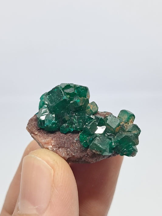 Dioptase on Matrix (Democratic Republic of Congo) Natural Cluster | Rough Crystal | Mineral Specimen #DPT10