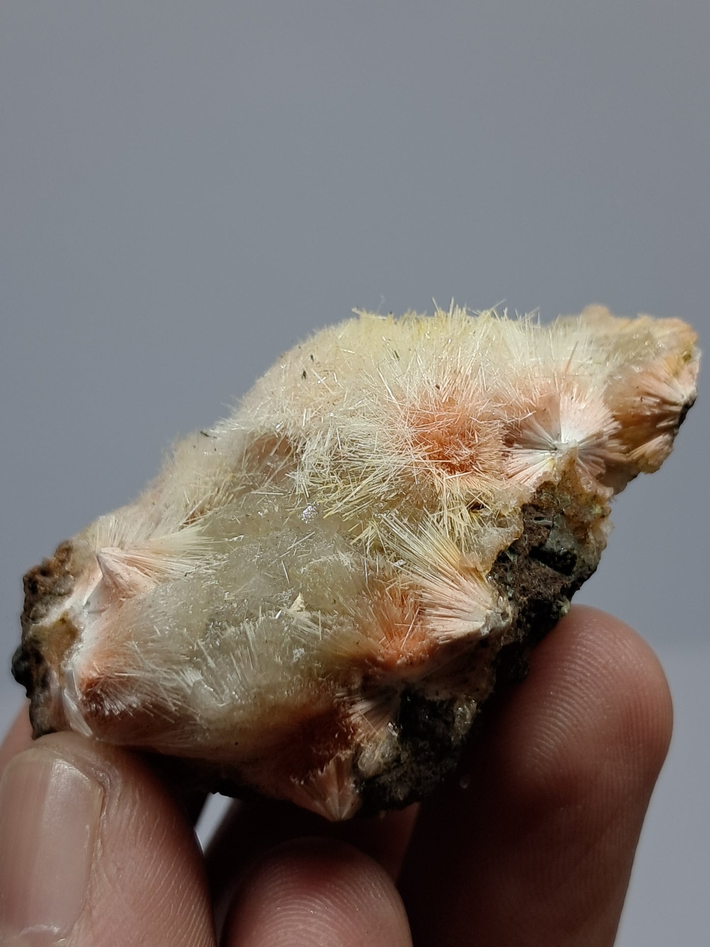 Mesolite w/ Hematite Inclusion (Madhya Pradesh) Natural Crystal| Mineral Specimen #MS19