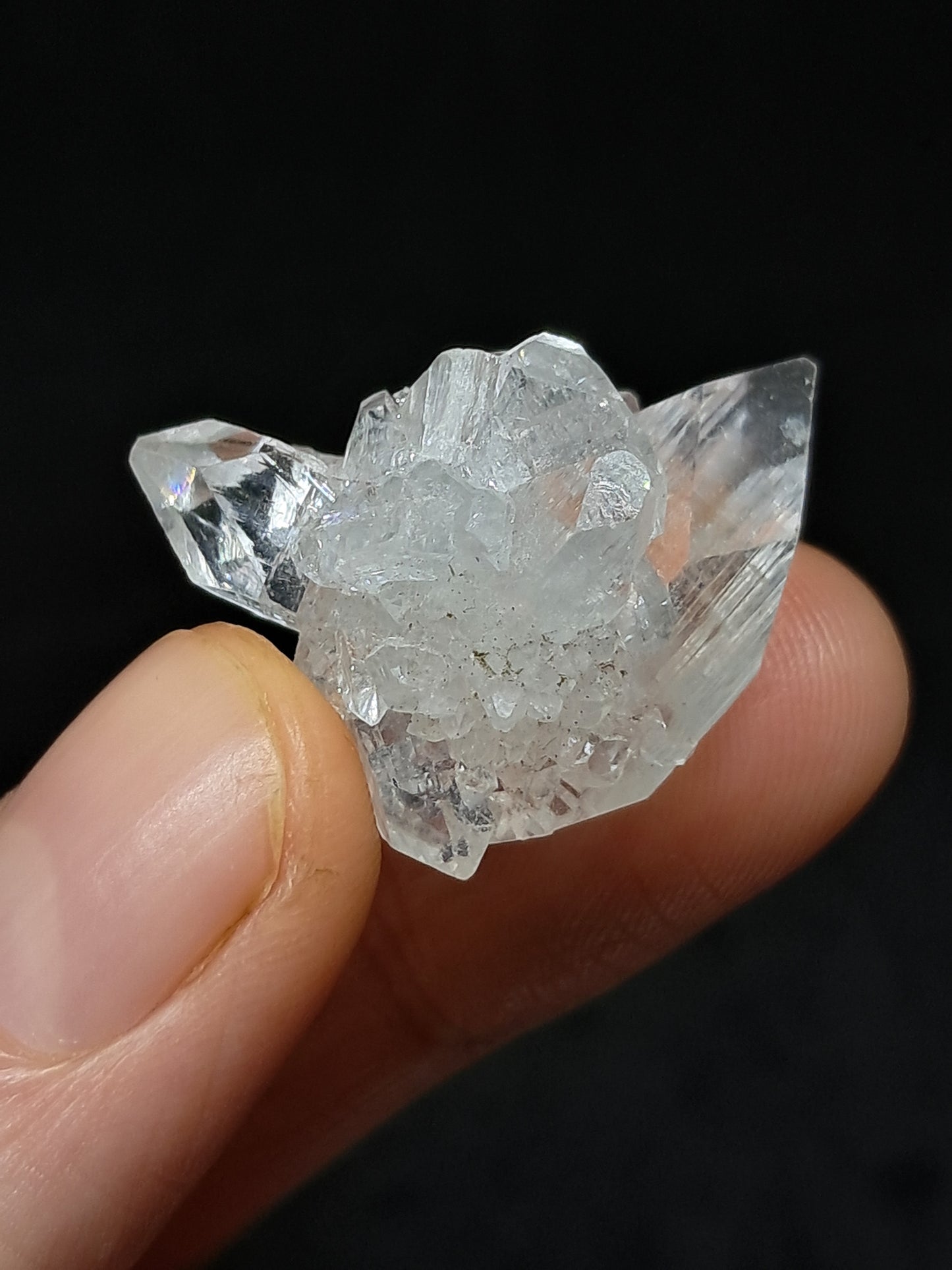 Clear Apophyllite Cluster (Ajanta) Natural Crystal | Mineral Specimen #AP59