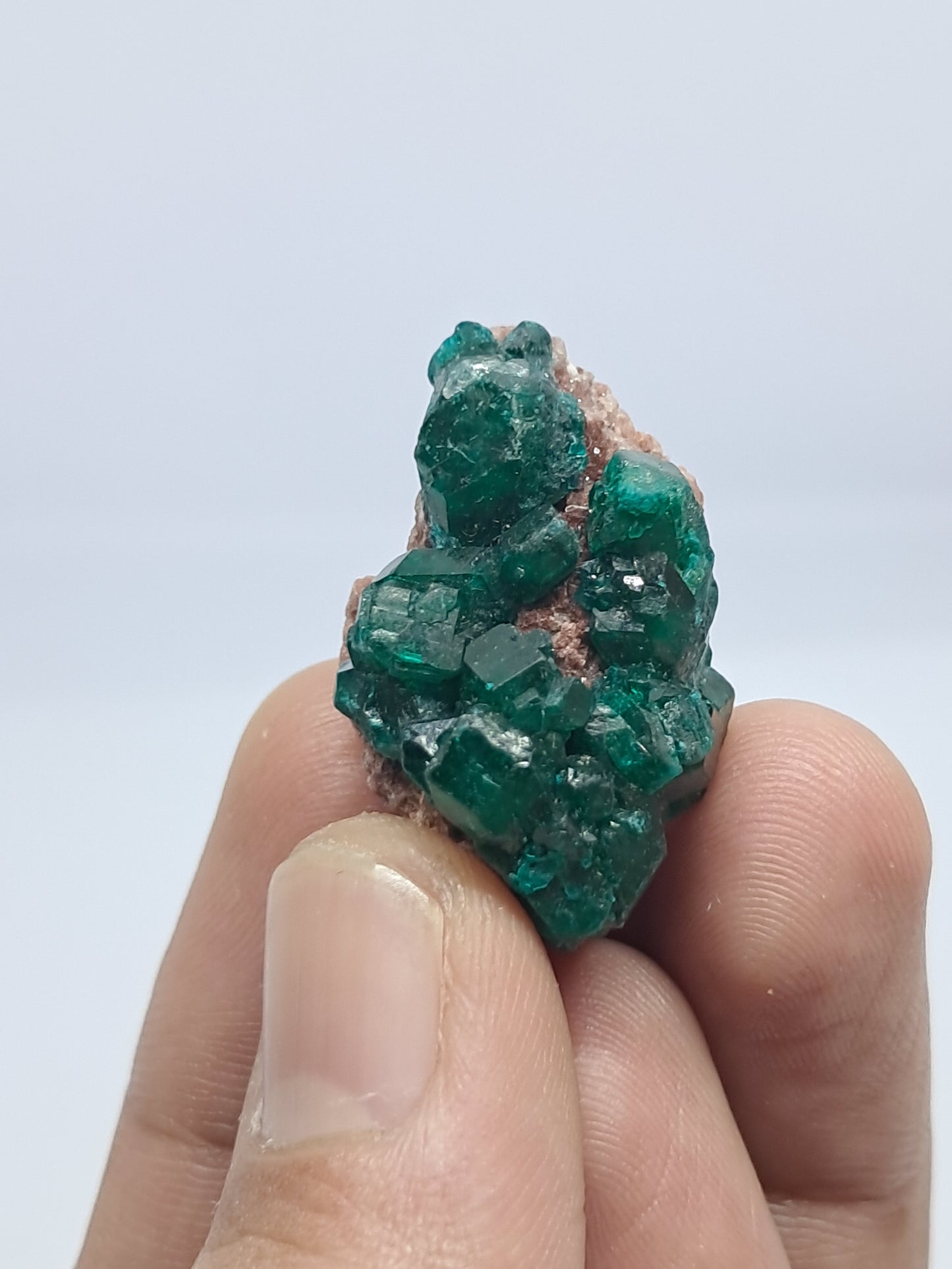 Dioptase (Democratic Republic of Congo) Natural Cluster | Rough Crystal | Mineral Specimen #DPT9